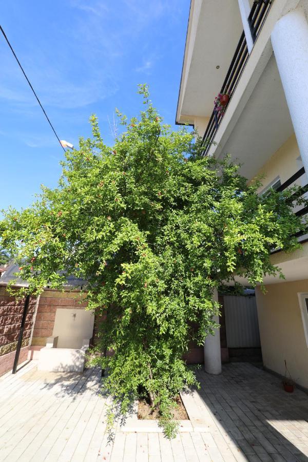 غوداوتا Rozalin Guest House المظهر الخارجي الصورة